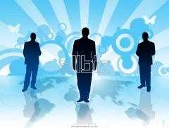 投资咨询 构建财富的关键指南